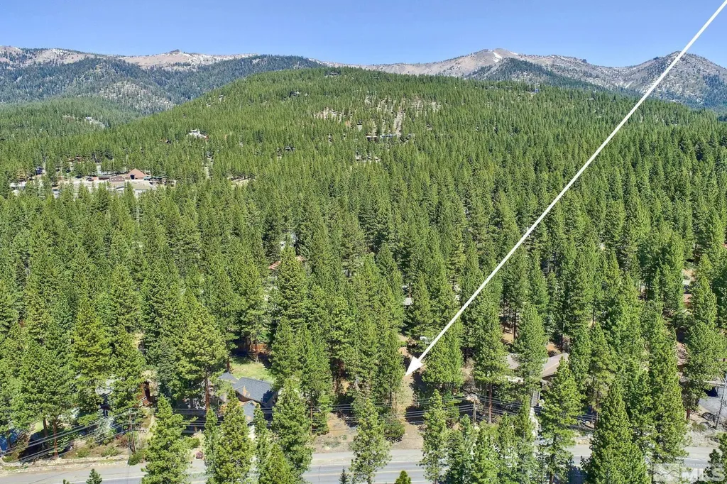 720 Mays Incline Village NV 89451