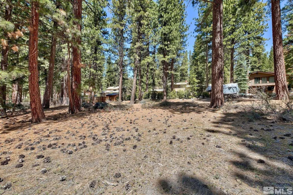 720 Mays Incline Village NV 89451