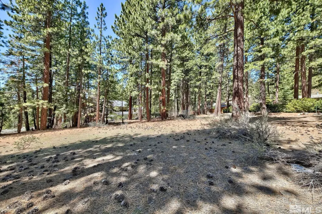 720 Mays Incline Village NV 89451
