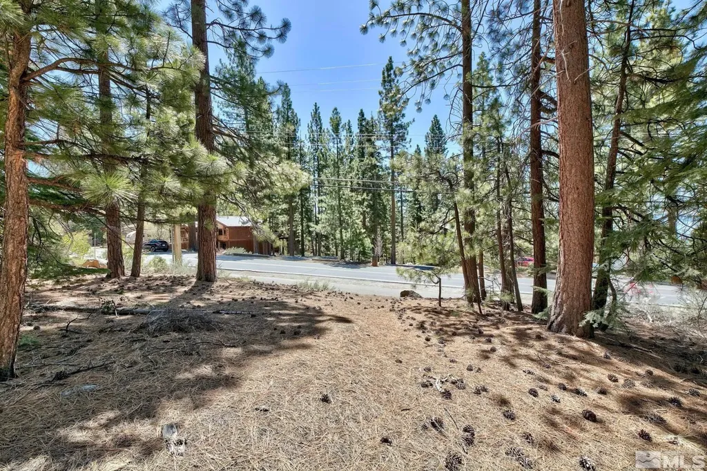 720 Mays Incline Village NV 89451