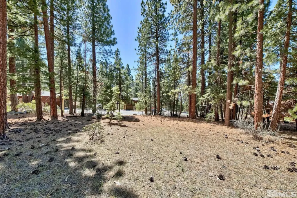 720 Mays Incline Village NV 89451
