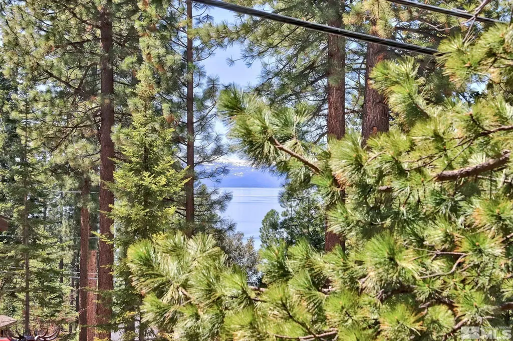 720 Mays Incline Village NV 89451