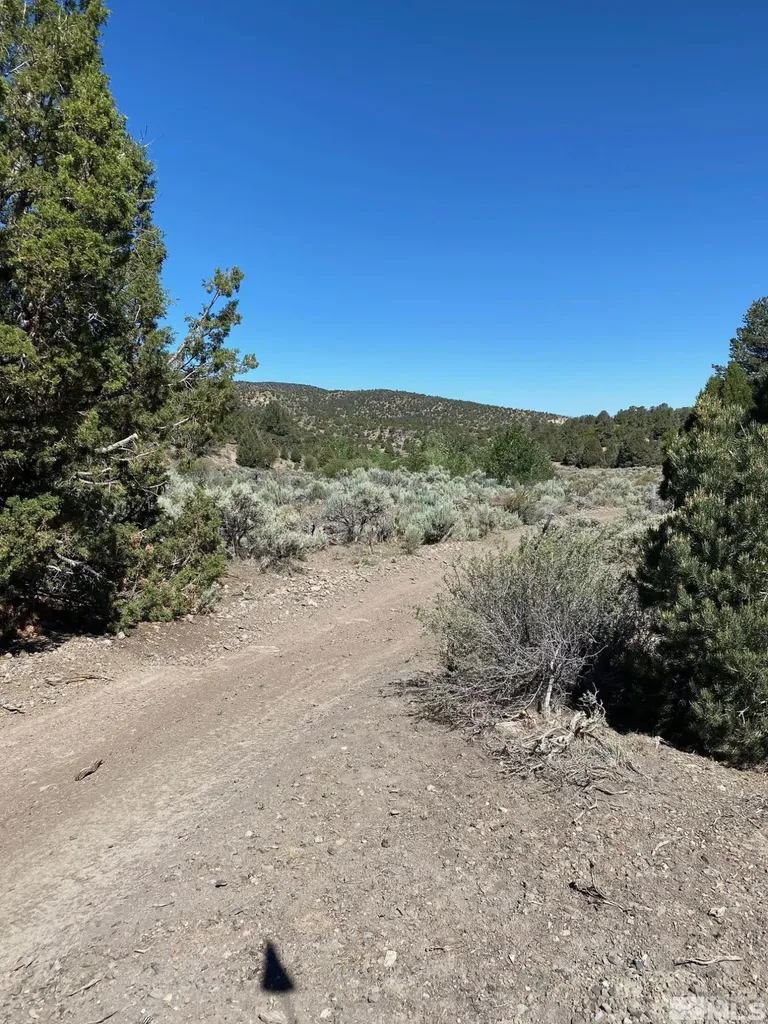 Tbd El Dorado Carson City NV 89701