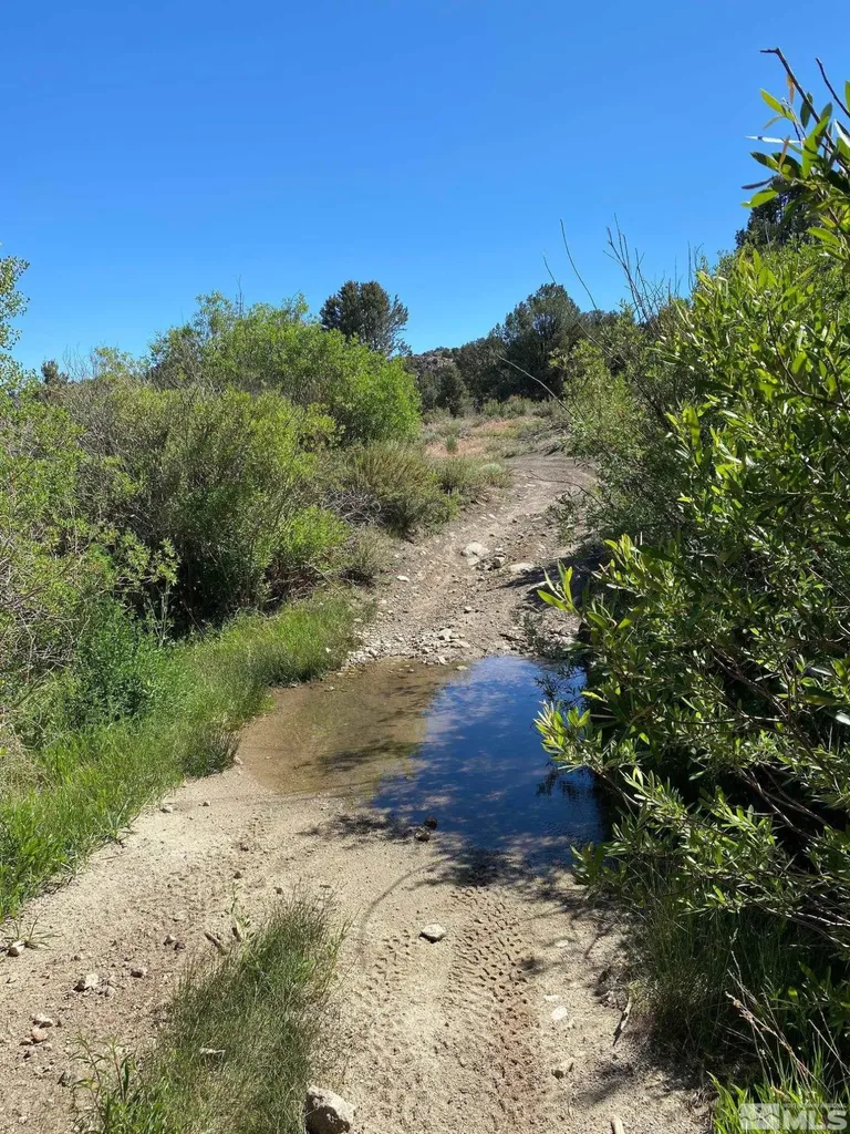 Tbd El Dorado Carson City NV 89701