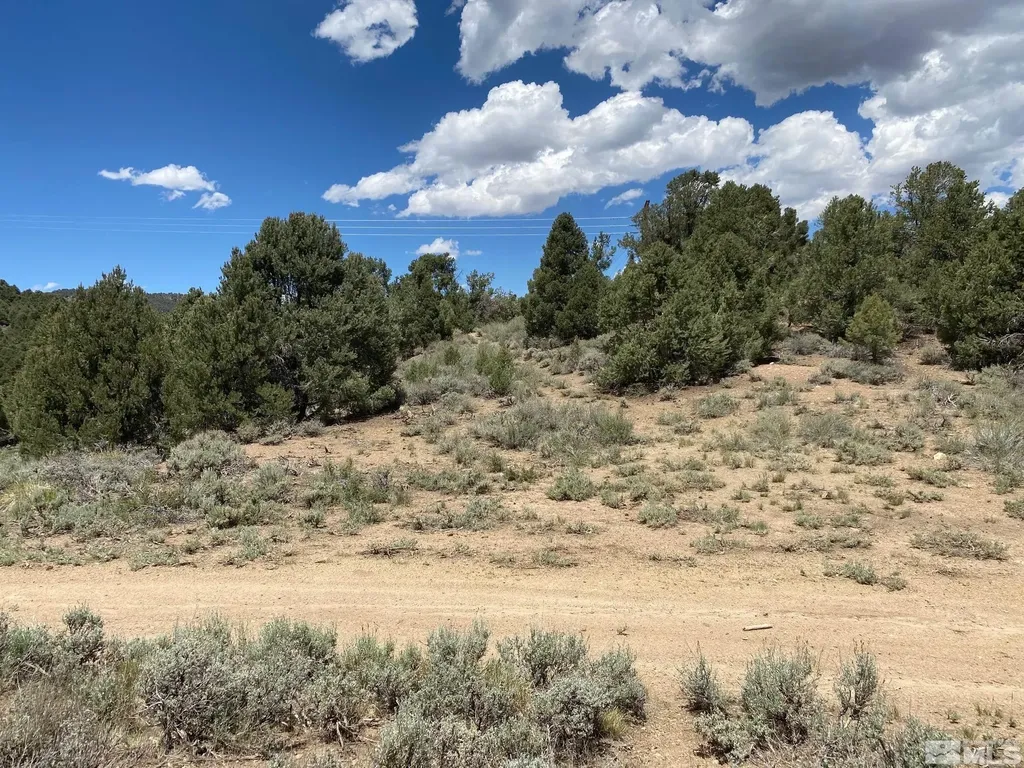 Tbd El Dorado Carson City NV 89701