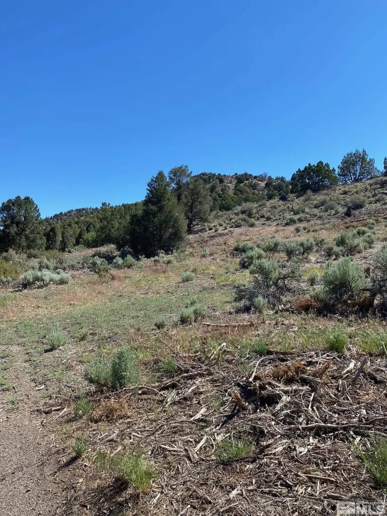 Tbd El Dorado Carson City NV 89701