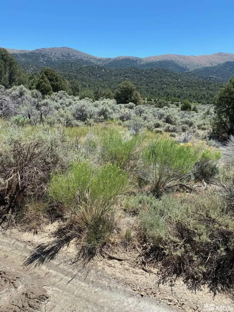 Tbd El Dorado Carson City NV 89701
