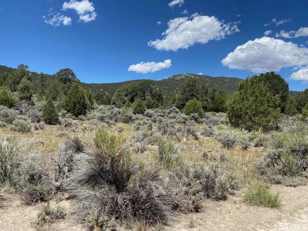 Tbd El Dorado Carson City NV 89701