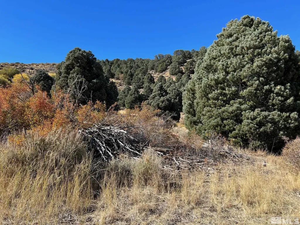 Tbd El Dorado Carson City NV 89701