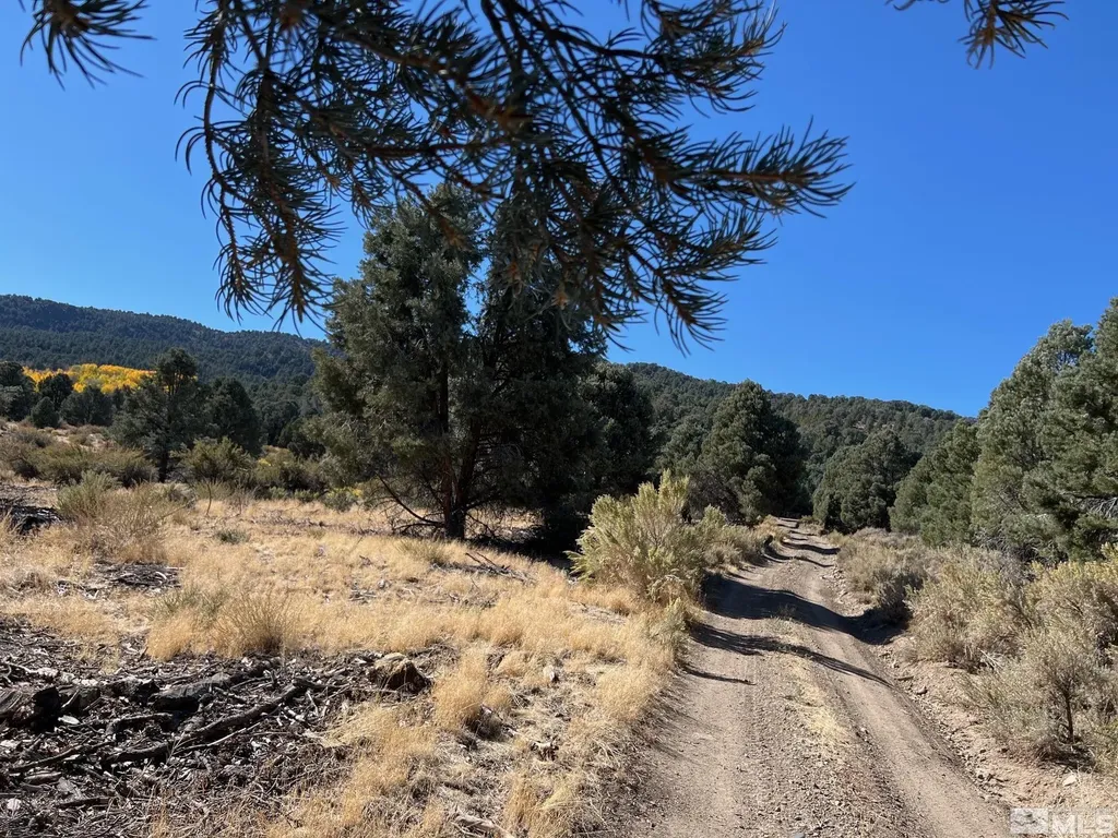 Tbd El Dorado Carson City NV 89701