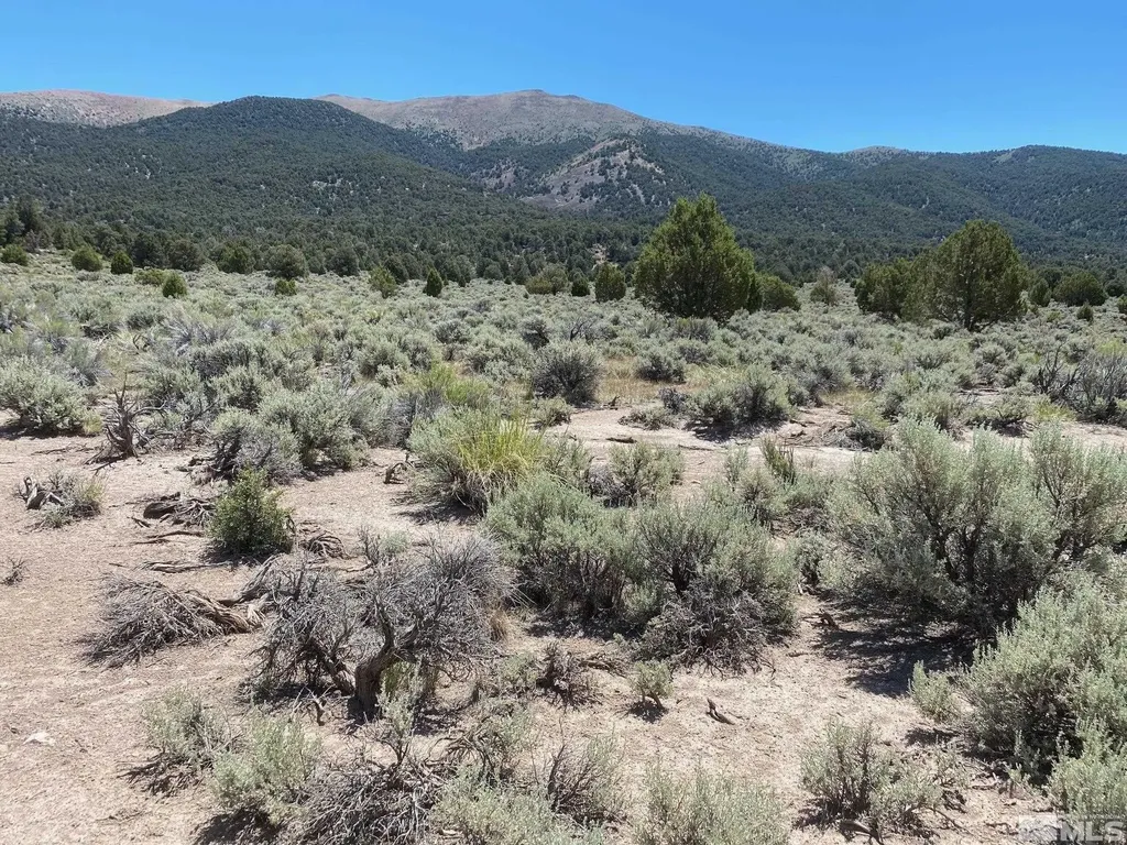 Tbd El Dorado Carson City NV 89701