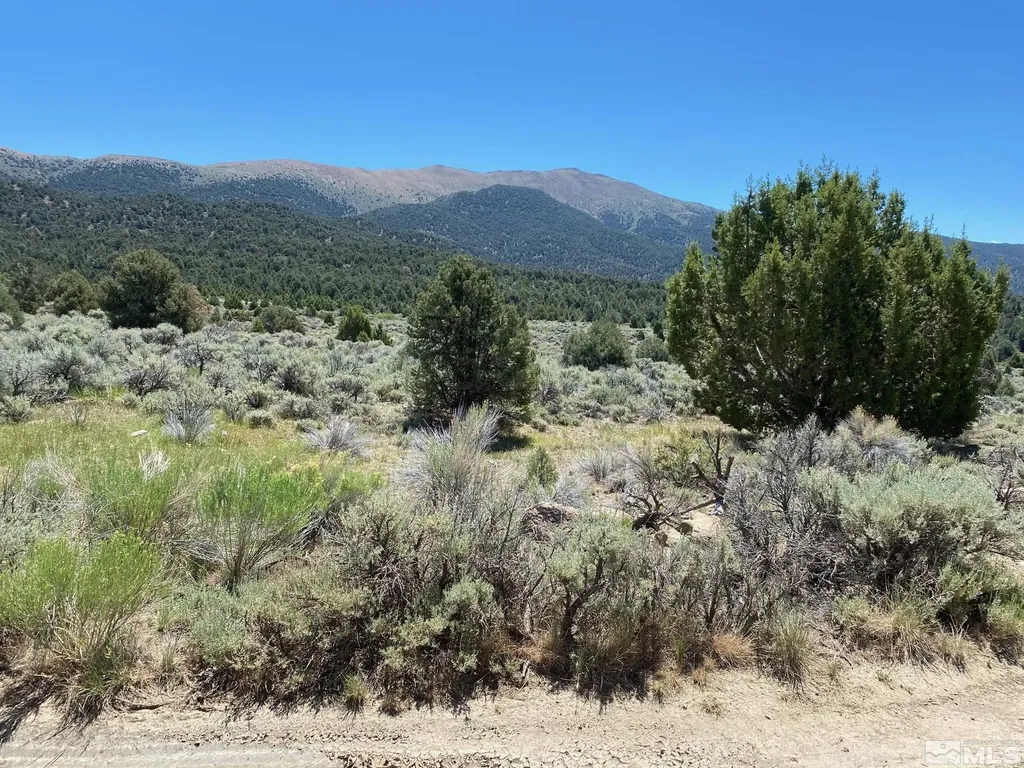 Tbd El Dorado Carson City NV 89701