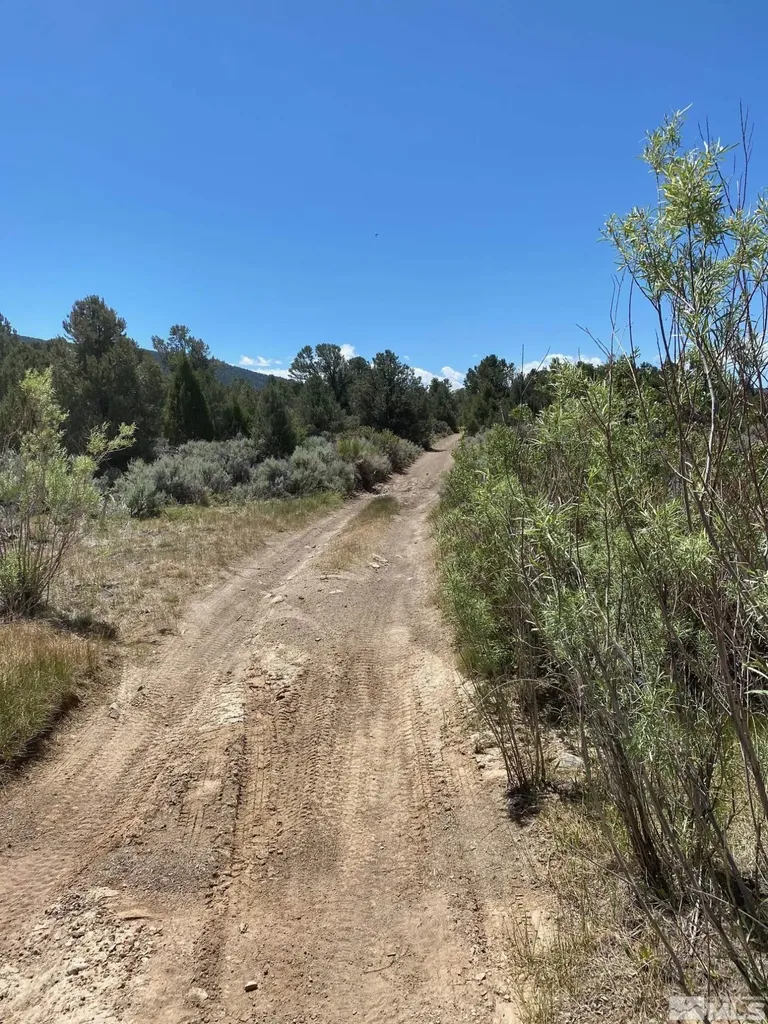 Tbd El Dorado Carson City NV 89701