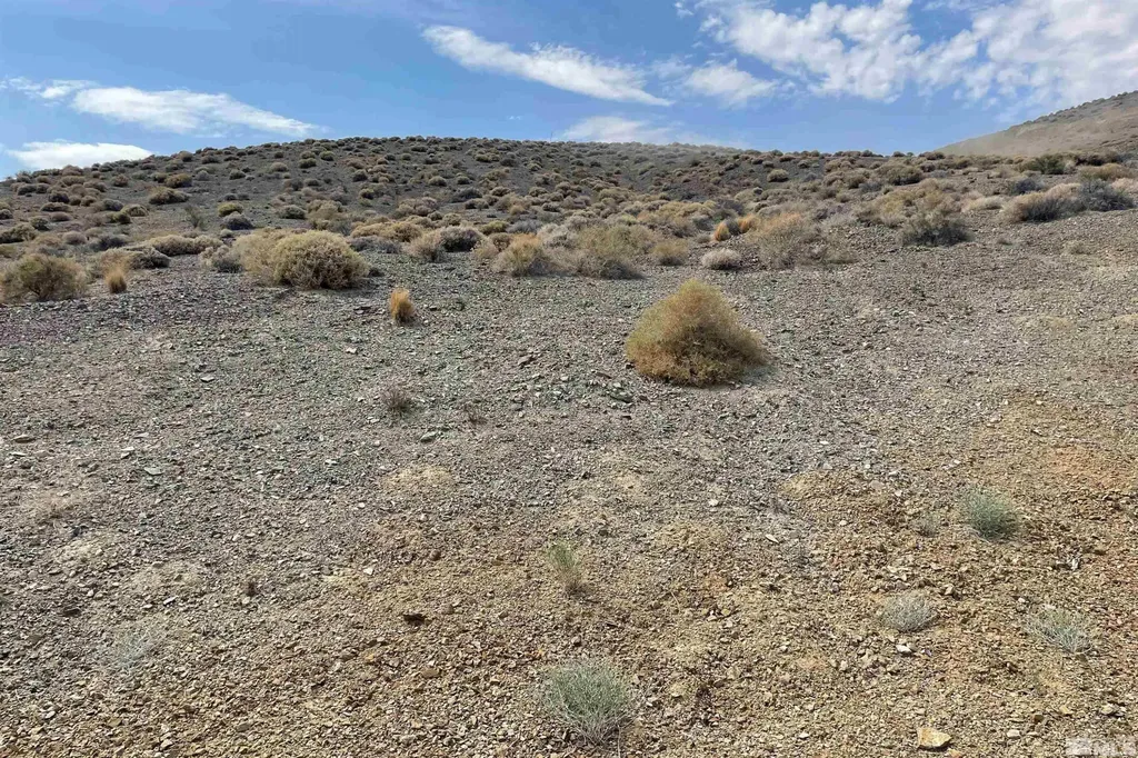 5650 Mcguire Silver Springs NV 89429