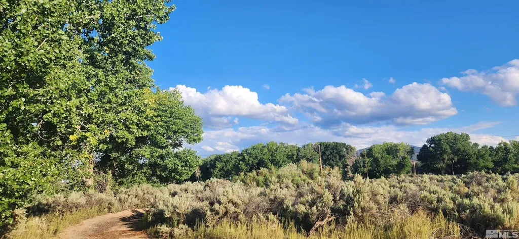 5155 Highway 50 Carson City NV 89701