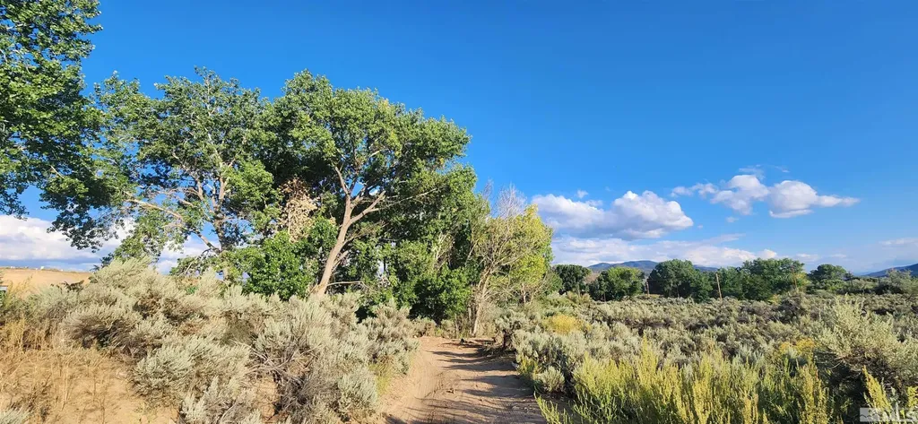 5155 Highway 50 Carson City NV 89701