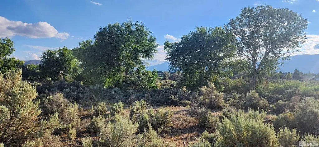 5155 Highway 50 Carson City NV 89701