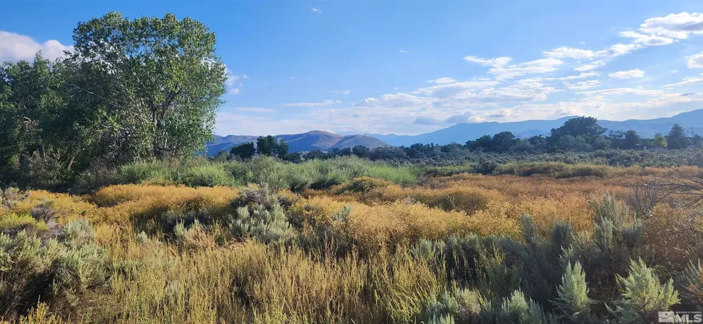 5155 Highway 50 Carson City NV 89701