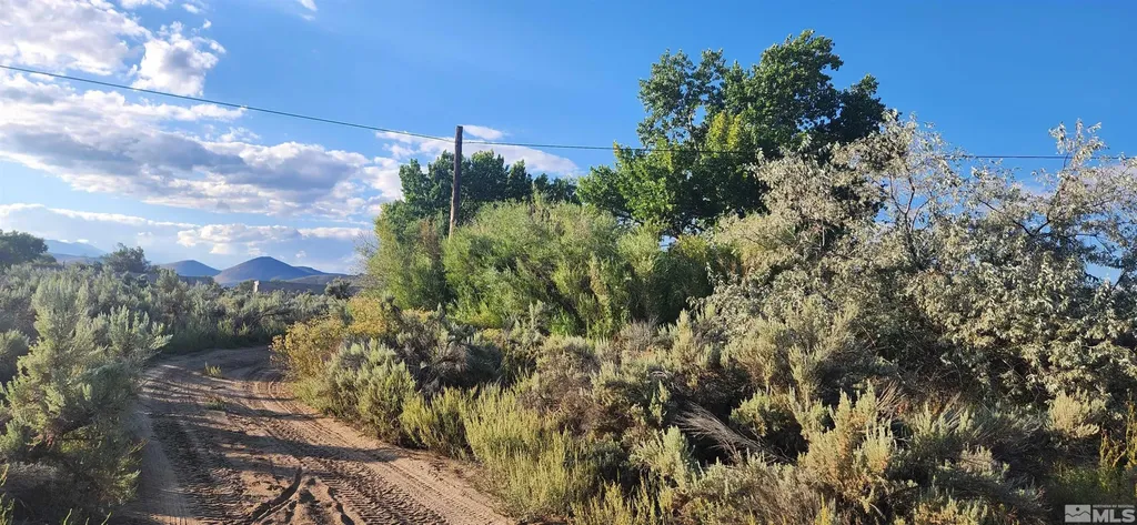 5155 Highway 50 Carson City NV 89701