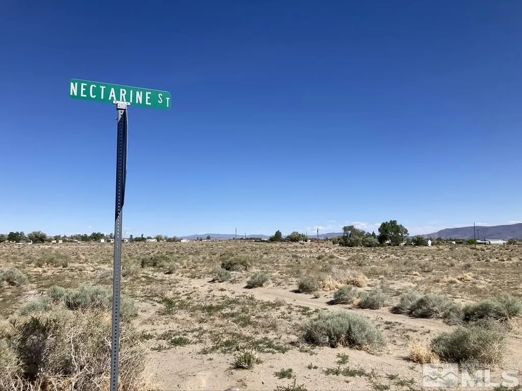 2665 Hope Silver Springs NV 89429