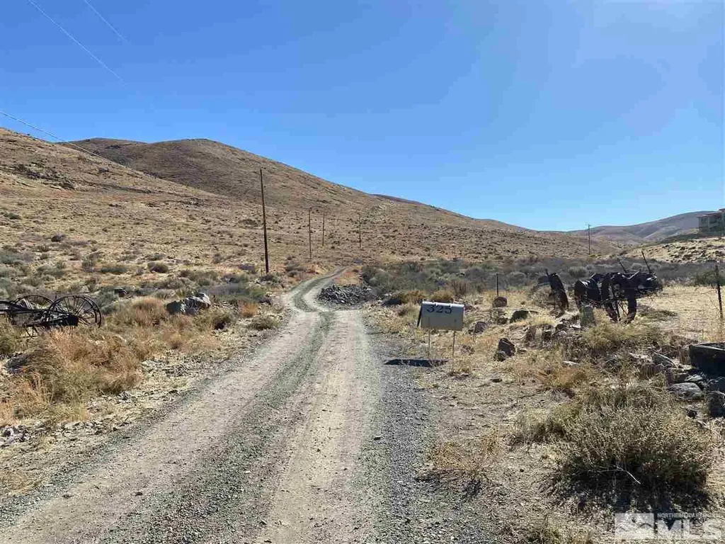 307 Neilson Washoe Valley NV 89521