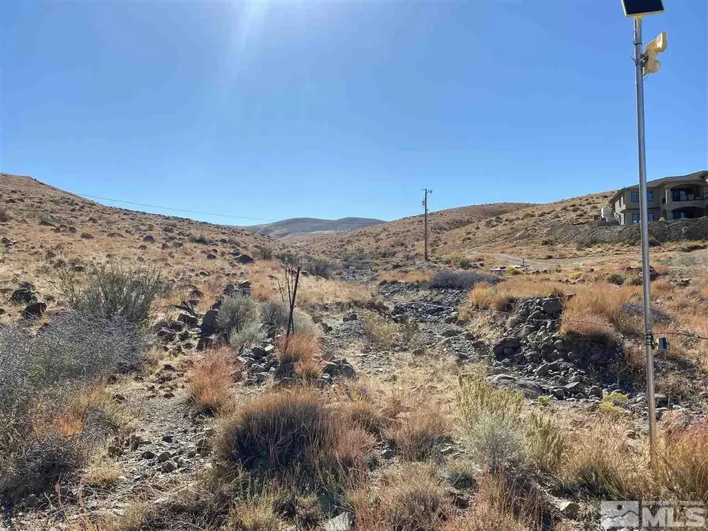 330 Neilson Washoe Valley NV 89521