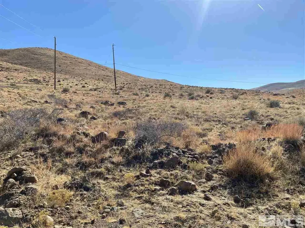 315 Neilson Washoe Valley NV 89521