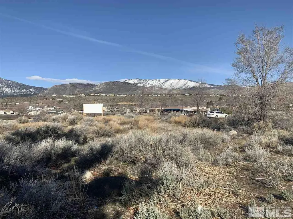 967 Mica Carson City NV 89705