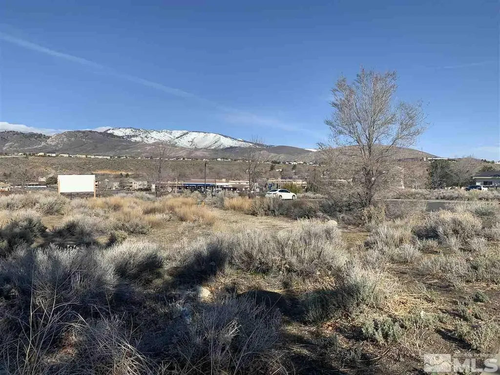 967 Mica Carson City NV 89705
