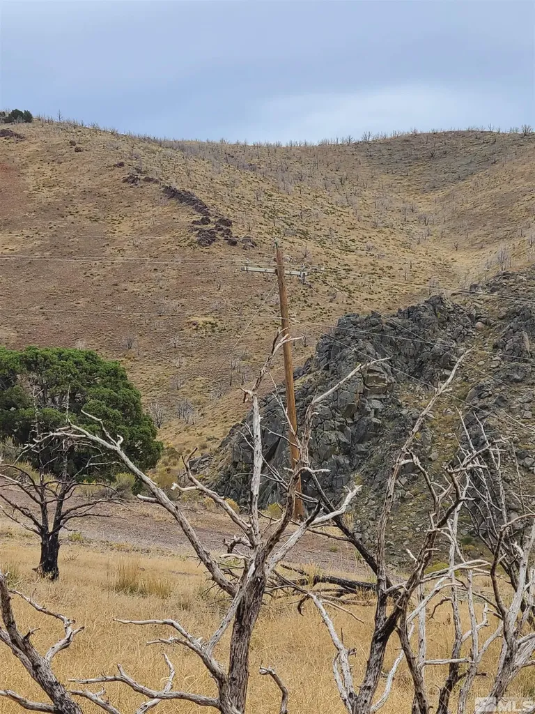 2200 Piute Creek Reno NV 89510