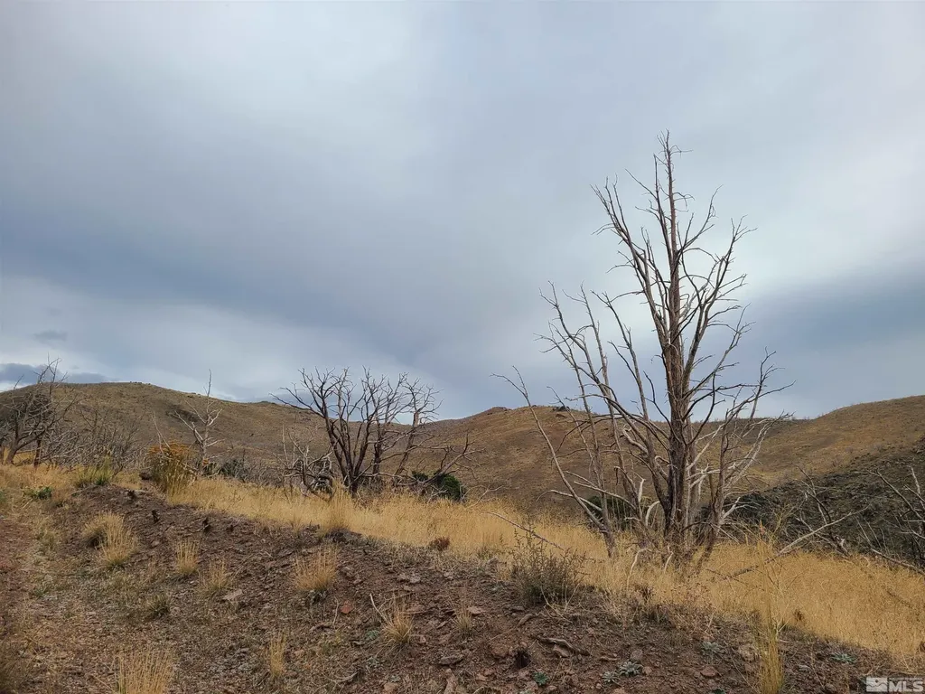 2200 Piute Creek Reno NV 89510