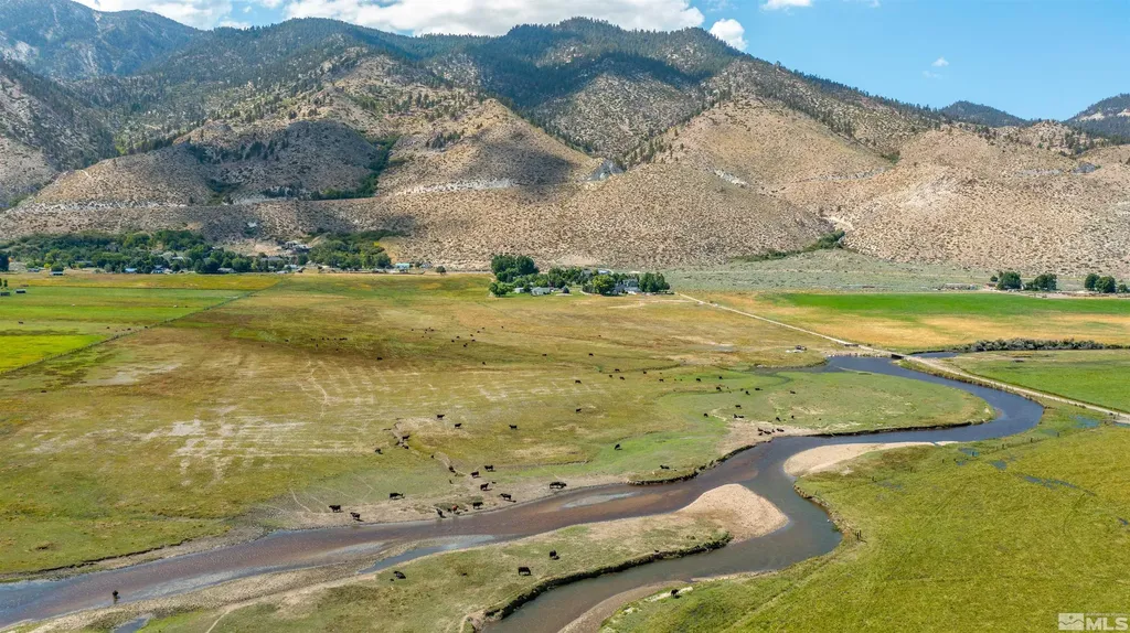 1461 Foothill Gardnerville NV 89460