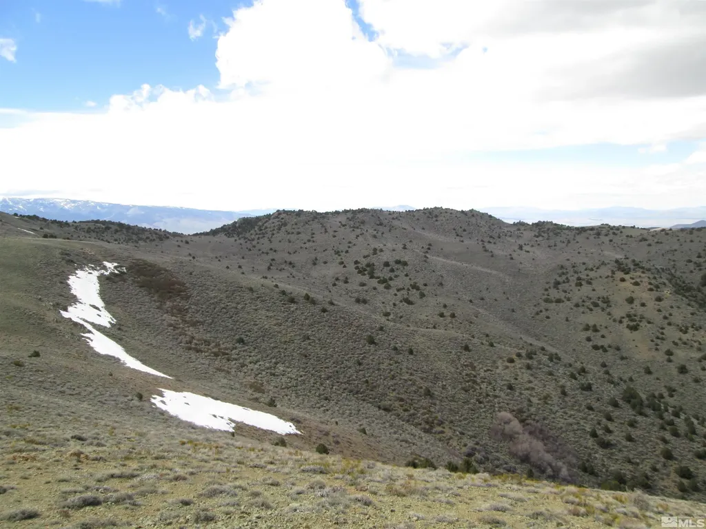 00430124 Mount Davidson Virginia City NV 89440