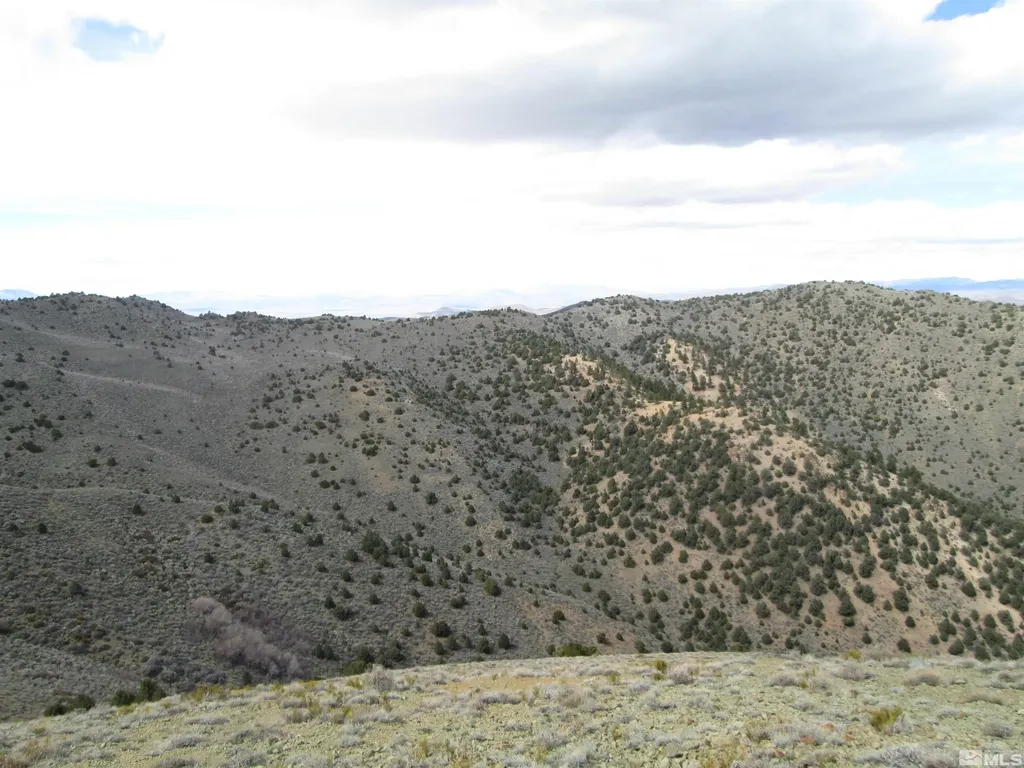 00430124 Mount Davidson Virginia City NV 89440