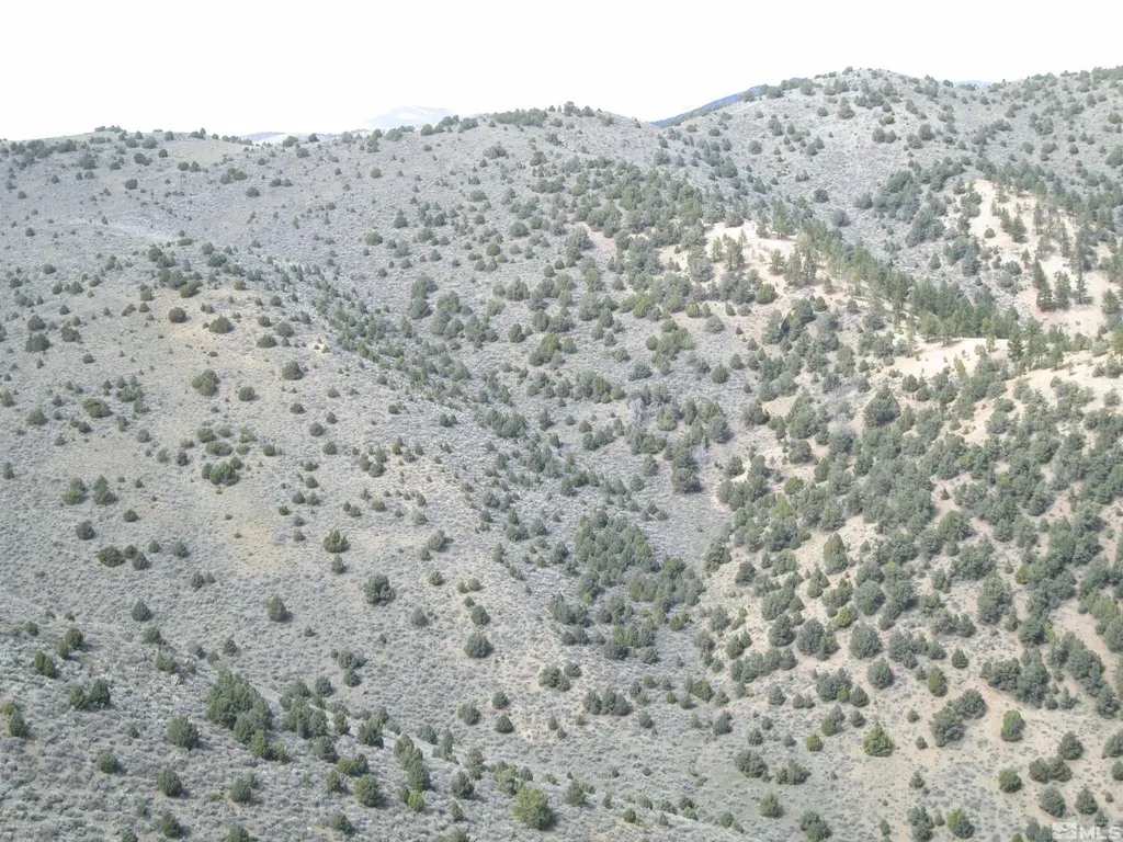 00430124 Mount Davidson Virginia City NV 89440