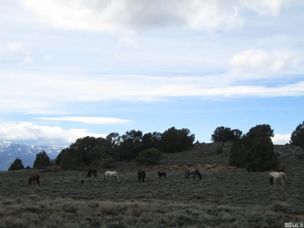 00430124 Mount Davidson Virginia City NV 89440