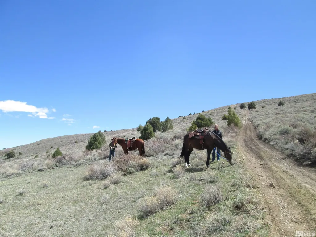 00430124 Mount Davidson Virginia City NV 89440