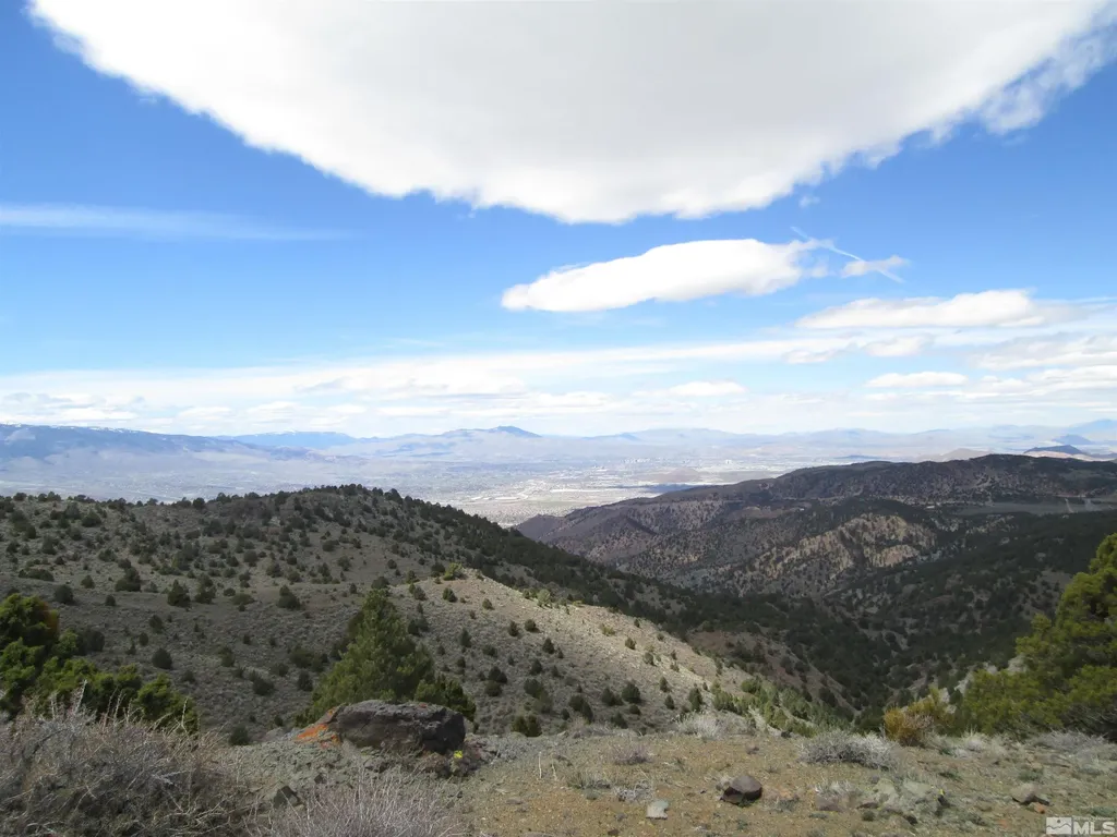 00430124 Mount Davidson Virginia City NV 89440