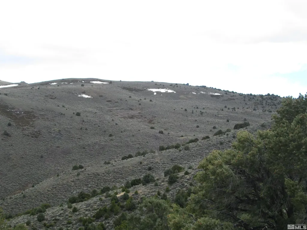 00430124 Mount Davidson Virginia City NV 89440