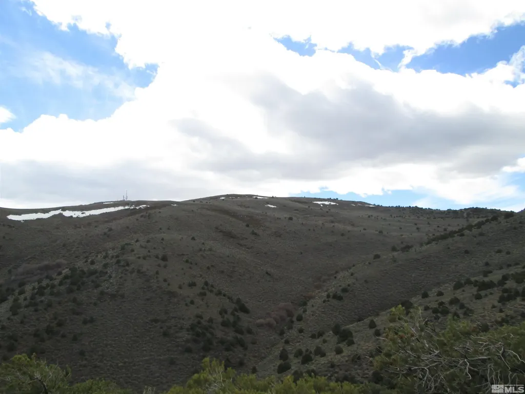 00430124 Mount Davidson Virginia City NV 89440
