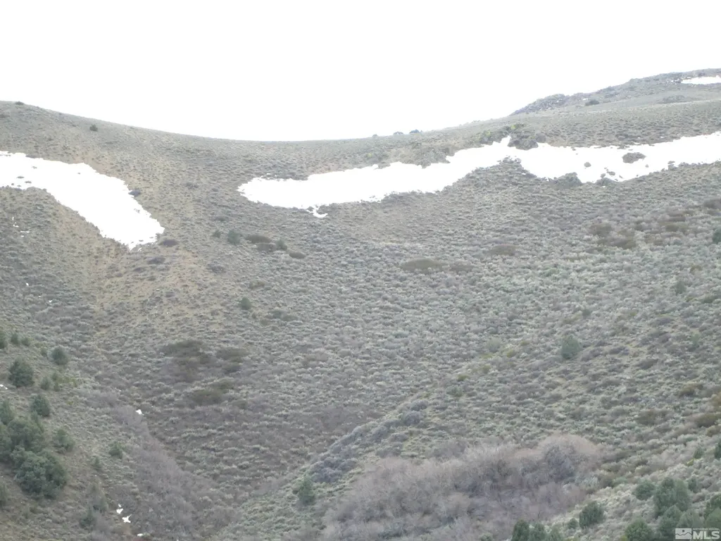 00430124 Mount Davidson Virginia City NV 89440