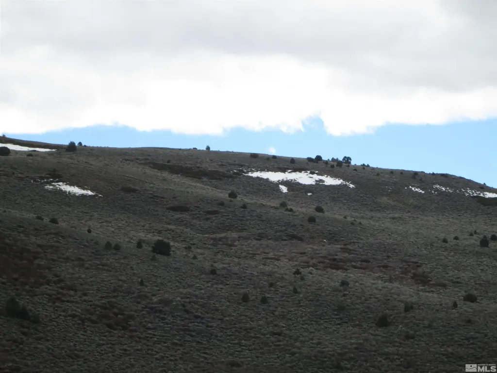 00430124 Mount Davidson Virginia City NV 89440