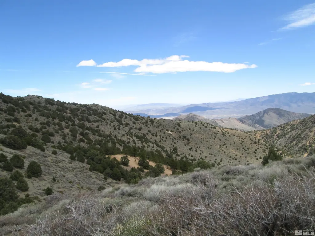 00430125 Mount Davidson Virginia City NV 89440