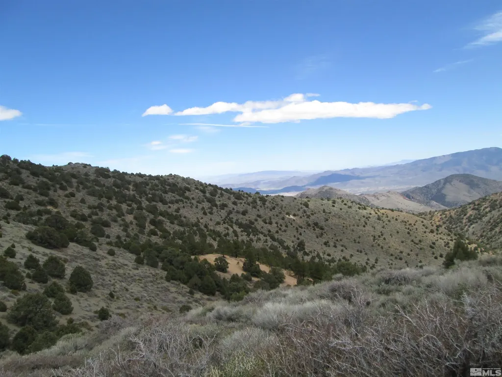 00430125 Mount Davidson Virginia City NV 89440