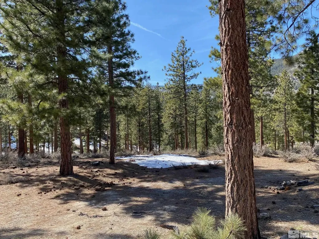 156 Walton Toll Carson City NV 89705