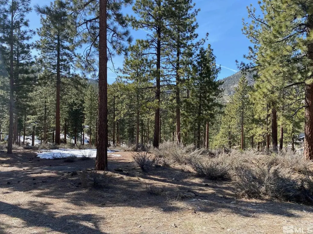 156 Walton Toll Carson City NV 89705