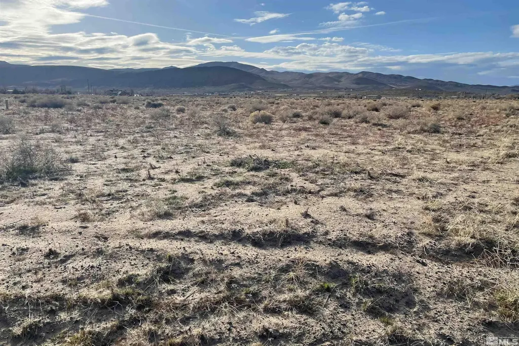 8685 Angel Silver Springs NV 89429