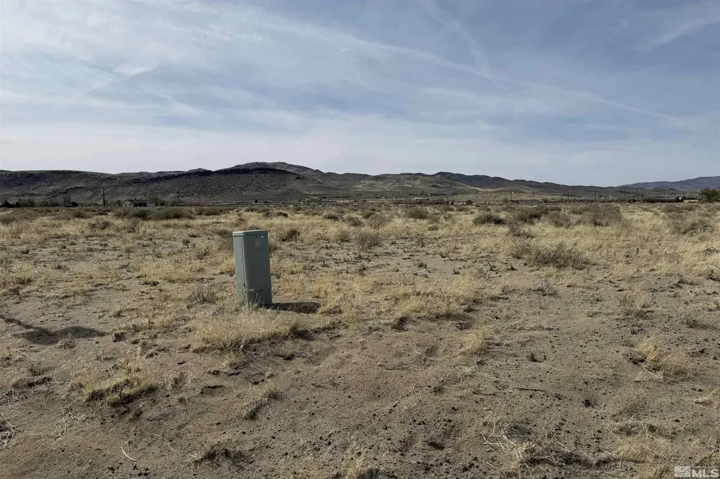 8685 Angel Silver Springs NV 89429