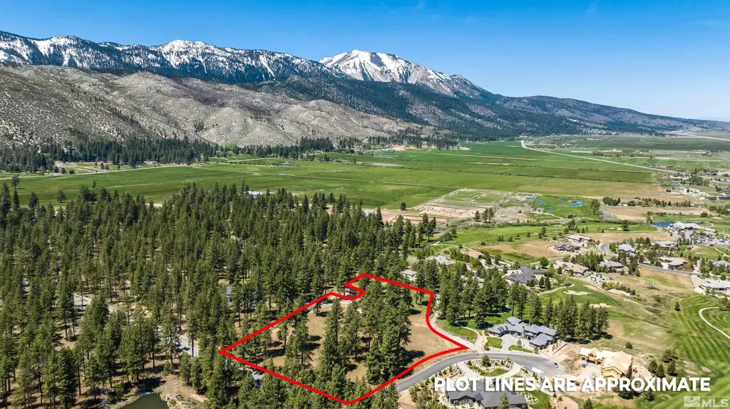 1 Pine Mesa Washoe Valley NV 89704