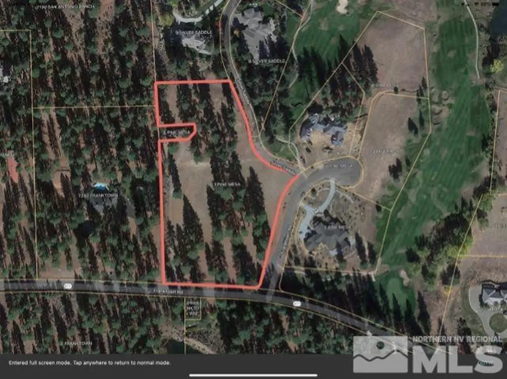 1 Pine Mesa Washoe Valley NV 89704
